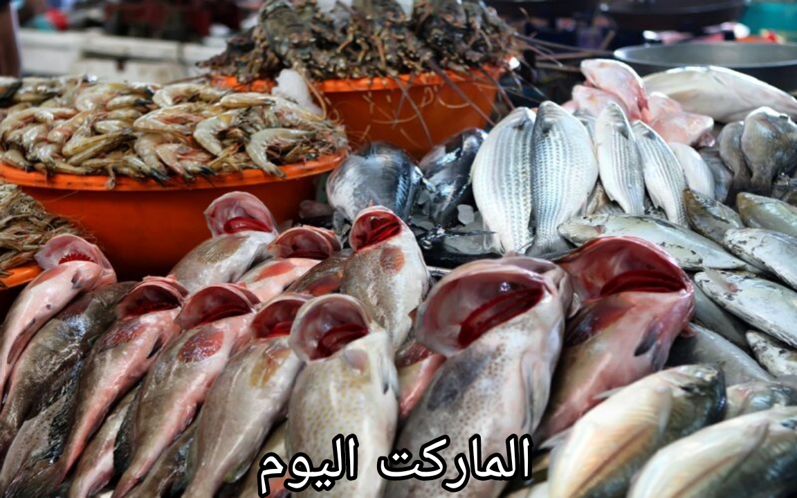 استقرار في الأسعار اليوم.. اسعار الأسماك اليوم في سوق العبور 2024