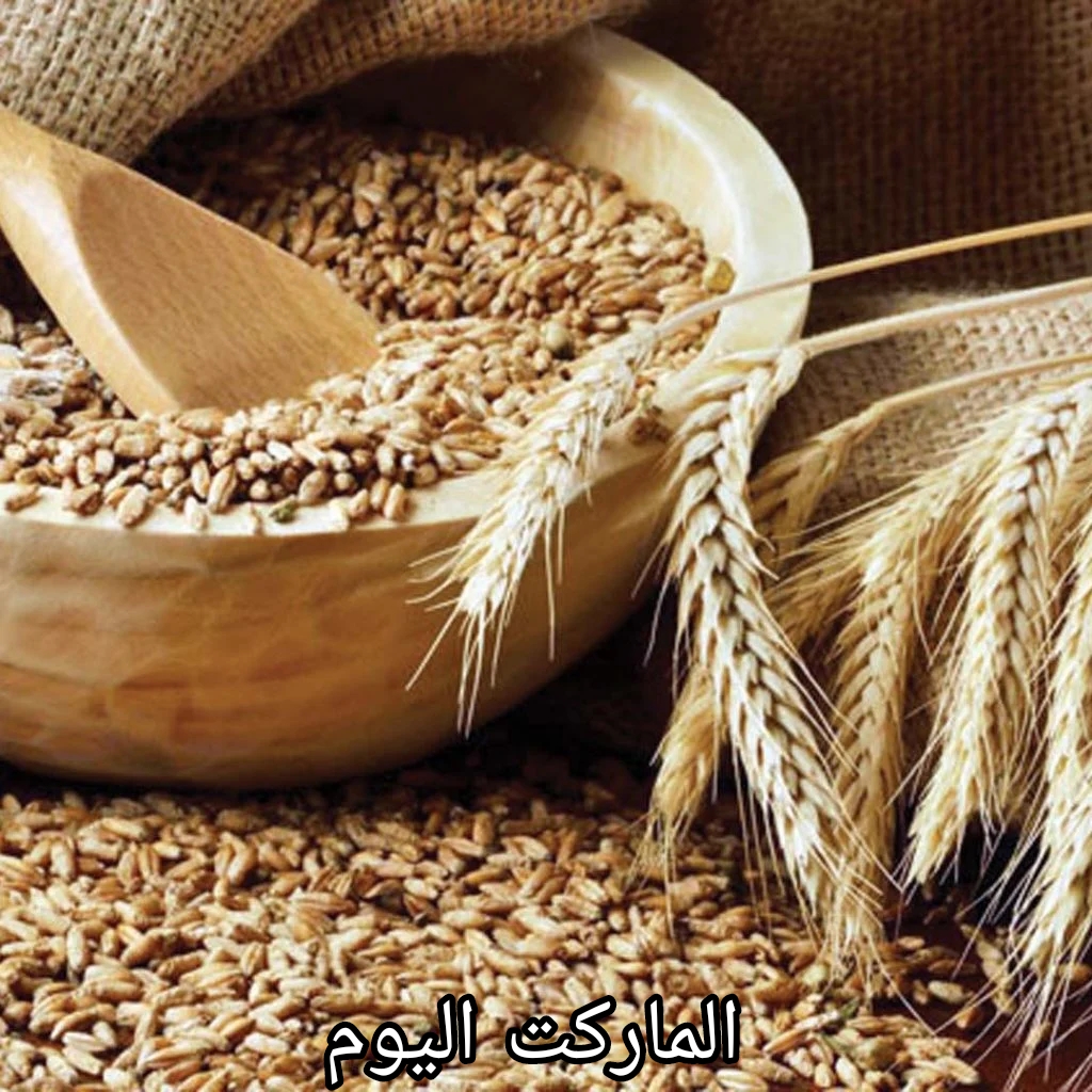 اسعار اعلاف الدواجن اليوم الجمعة 2/8/2024.. اعرف التفاصيل كاملة