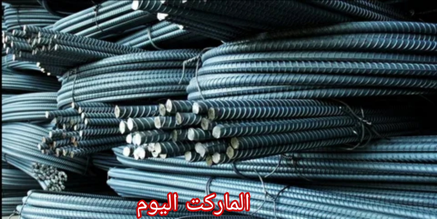 سعر طن الحديد اليوم السبت 3 أغسطس 2024.. “الاستثماري” يتراجع