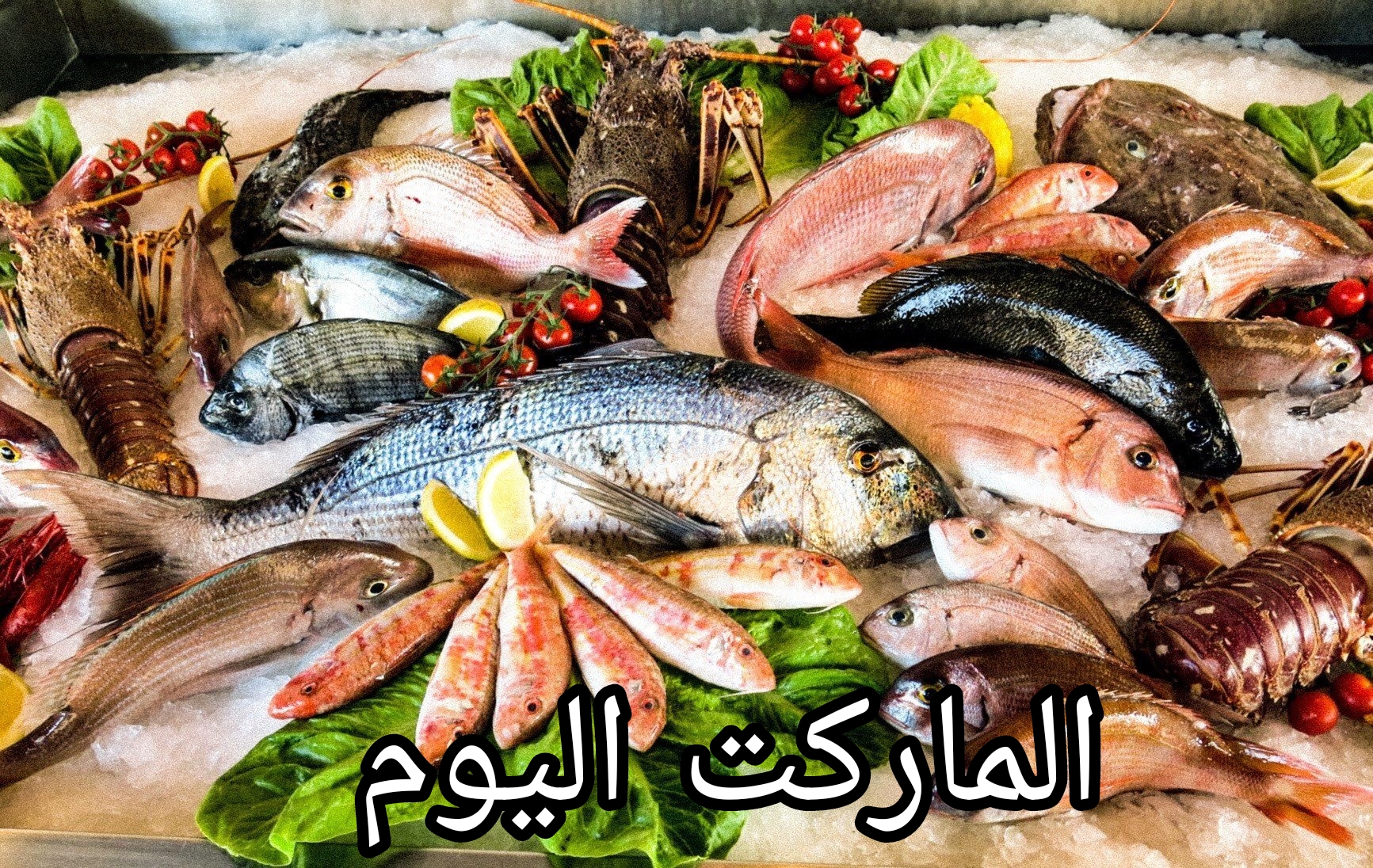 الحق اشتري قبل الاسعار ما ترفع.. أسعار الأسماك اليوم في سوق العبور