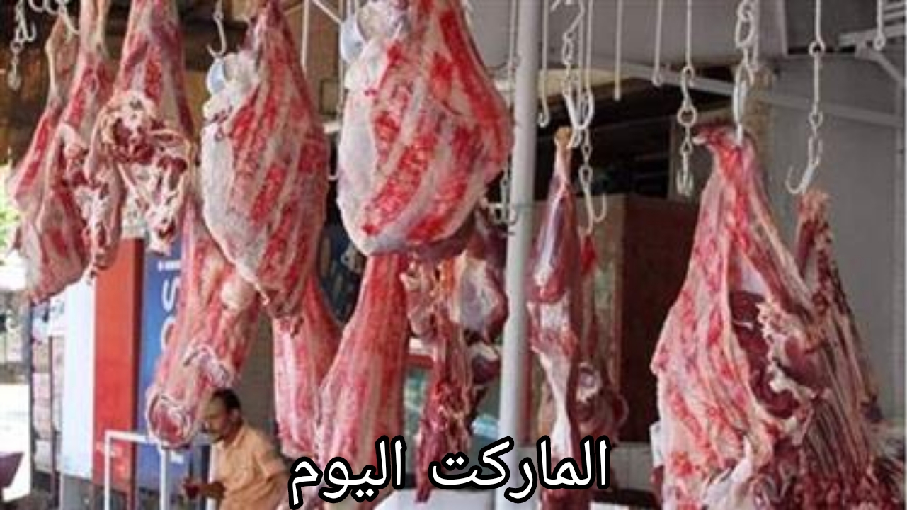استقرار ملحوظ في الاسواق.. تعرف على أسعار اللحوم الحمراء اليوم