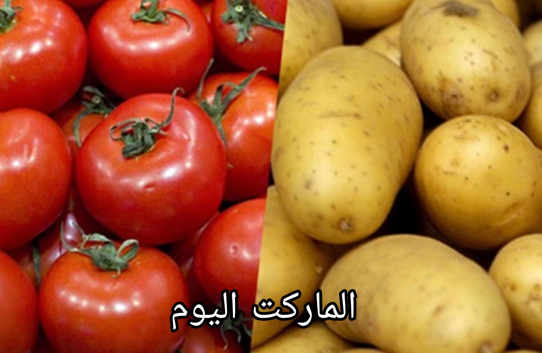 سعر الطماطم والبطاطس وصل كام النهاردة؟.. تعرف على أسعار الخضار اليوم في الأسواق المصرية