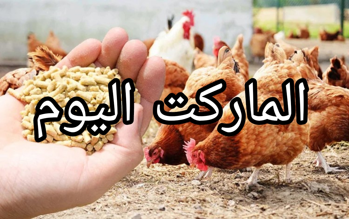 اسعار اعلاف الدواجن اليوم الأربعاء 14 اغسطس 2024
