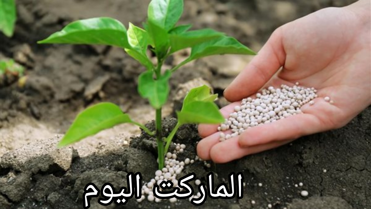 بعد زيادة الطن إلى 6000 جنيه.. تعرف على سعر السماد المدعم اليوم الأربعاء 14 أغسطس 2024