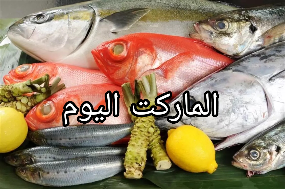 البلطي بـ73 جنيها.. تعرف على اسعار الاسماك والجمبري اليوم الجمعة 16 أغسطس 2024