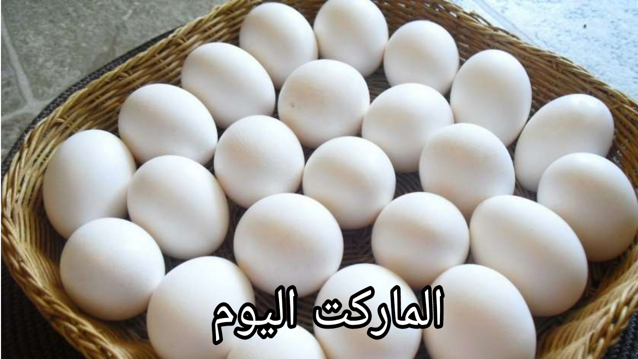 سعر كرتونة البيض اليوم الاثنين 19 أغسطس 2024