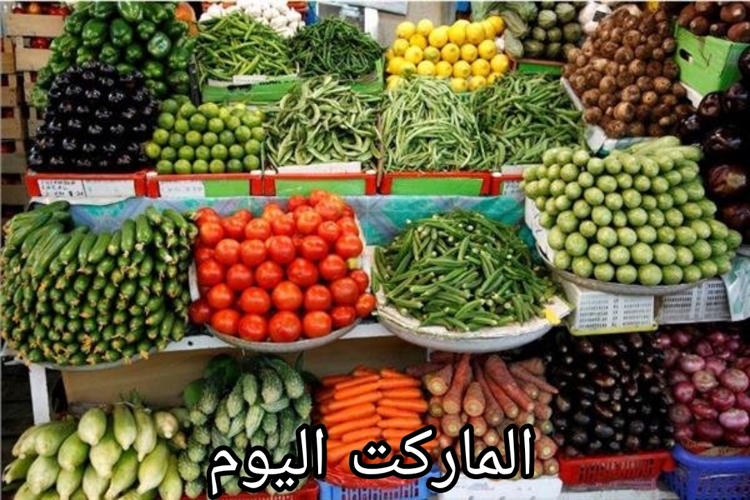 أسعار الخضار اليوم الثلاثاء 20 أغسطس 2024 في أسواق الإسكندرية